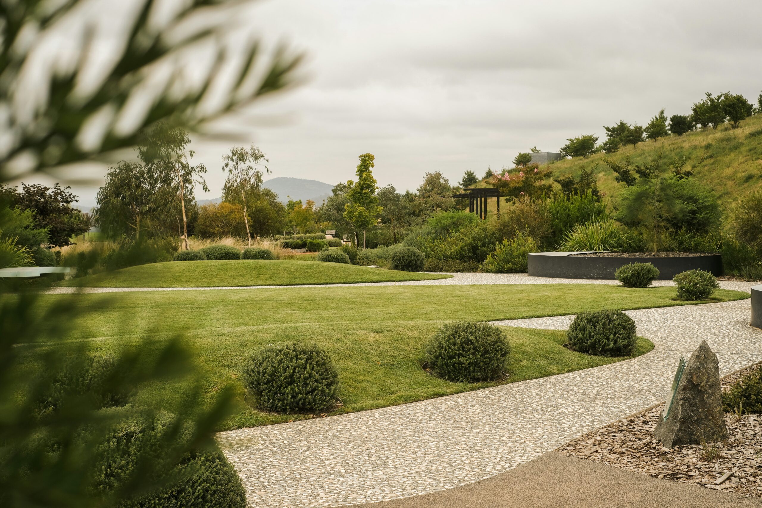 Beautifully landscaped residential or commercial property with a combination of lawn, plants, trees, and design elements.