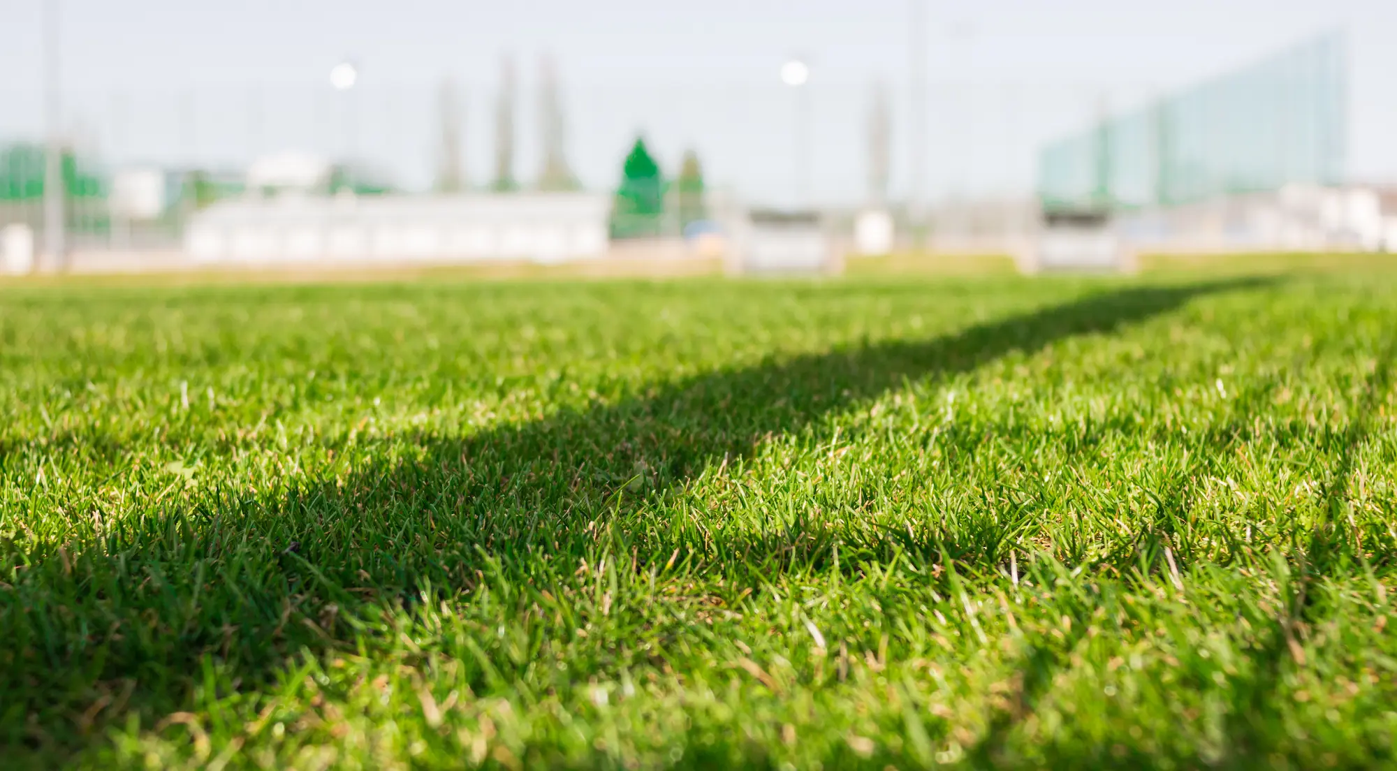 Wide view of a manicured sports field lawn, resembling a soccer or football pitch with crisp, even green grass and clear field markings.