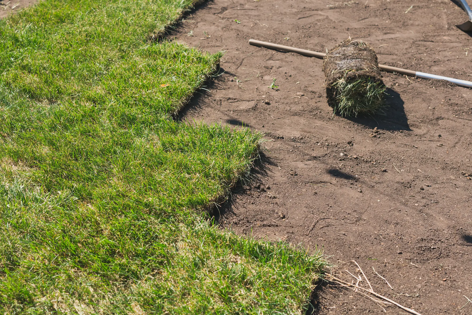 Workers laying fresh green sod rolls to create a new lawn or garden turf area, showing the installation process in progress.