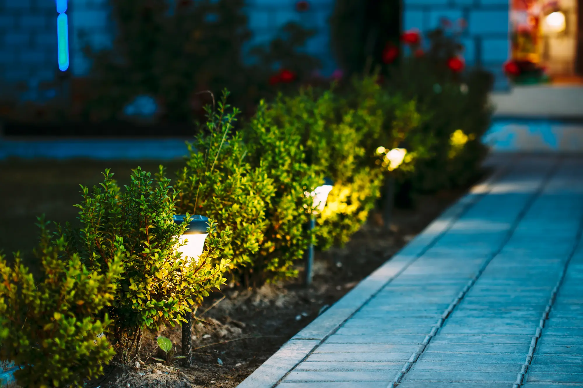 Nighttime view of an illuminated flowerbed featuring colorful blooming flowers lit by landscape lighting for dramatic effect.